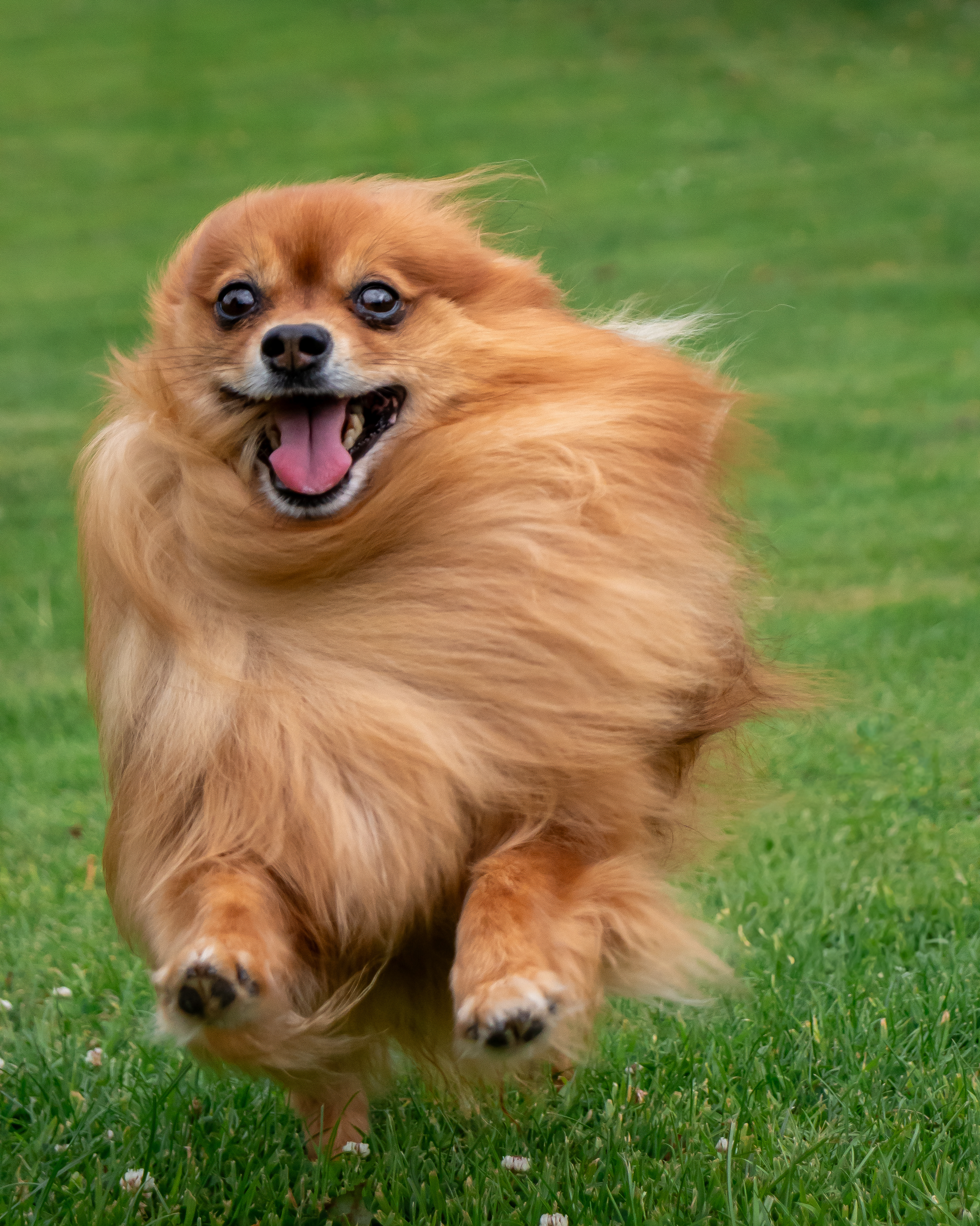 Premium Portrait Session