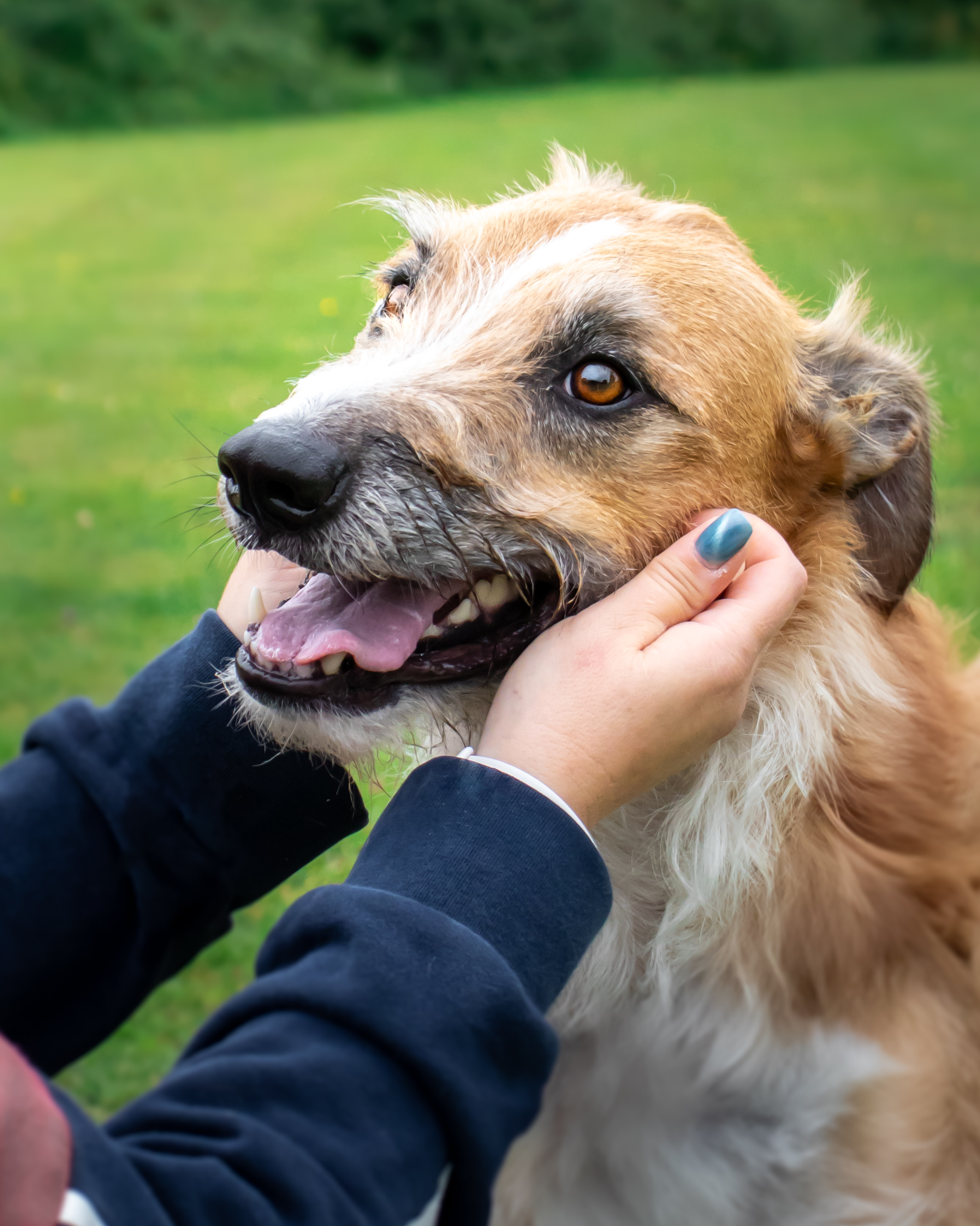 Standard Portrait Session